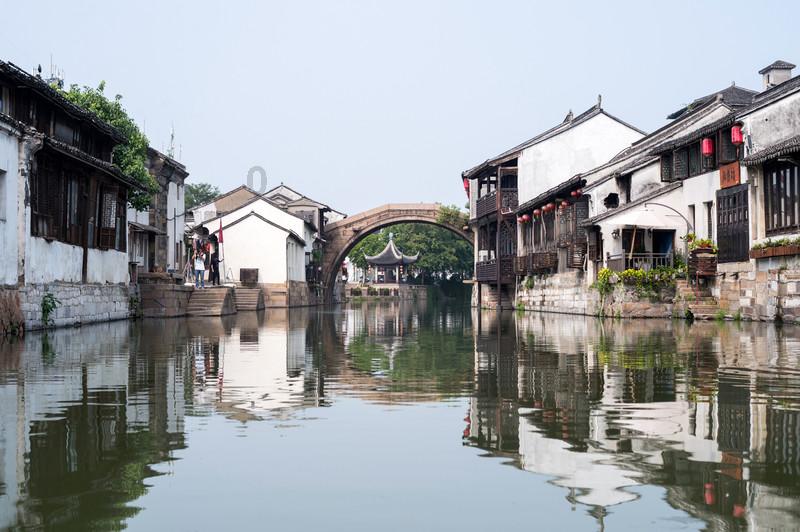 家有宠物不想养了怎么办？你会弃养宠物吗？游戏画面